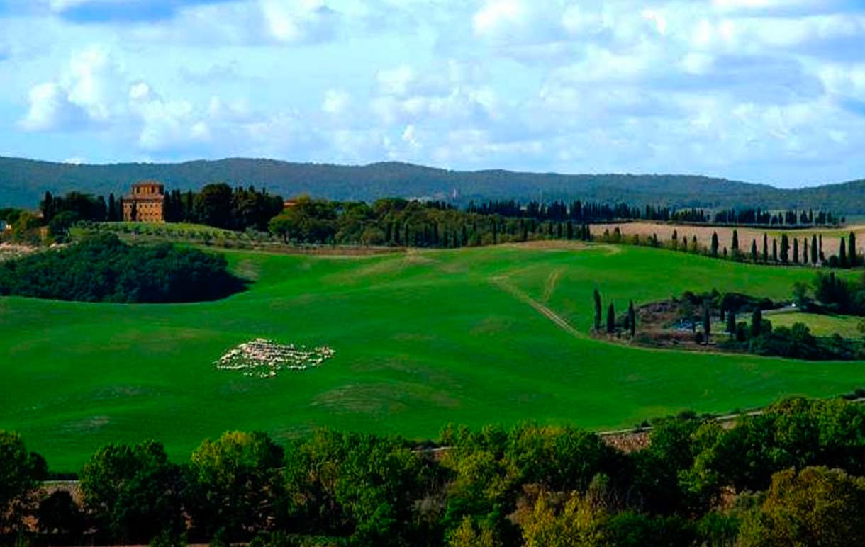Direzione Agricoltura e Sviluppo Rurale della Regione Toscana